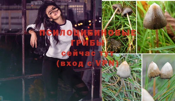 герыч Заводоуковск