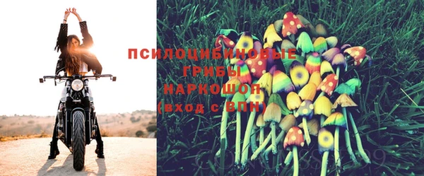 дмт Заволжск